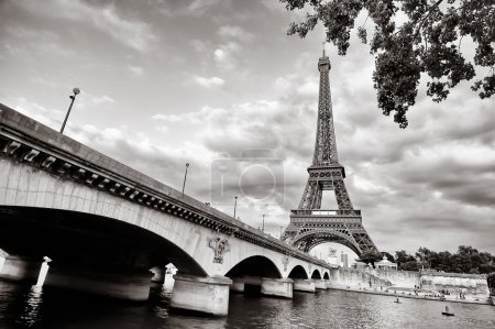 Eiffel tower view from Seine river