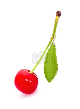 Red cherry