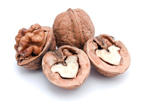 Four walnuts