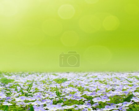Flower field with abstract sky
