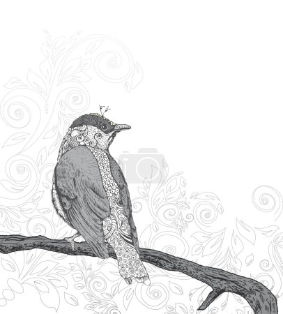 Hand Drawn Bird on Branch.