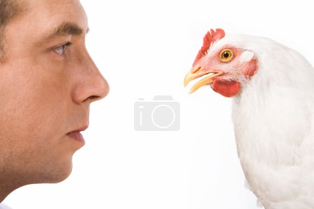 Profiles of man and hen