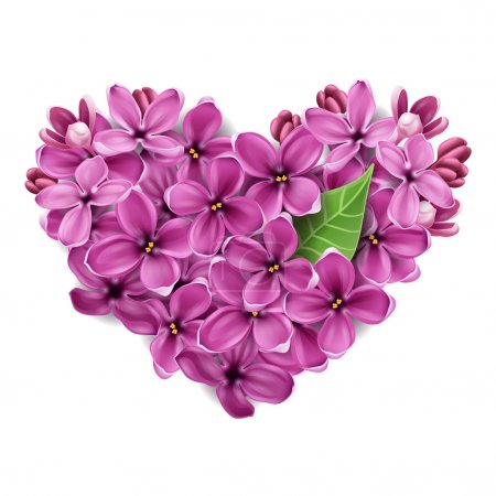 Heart from flowers of a lilac