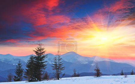 Winter Landscape at Sunset