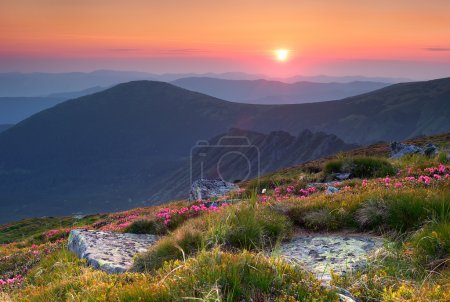 Summer landscape in mountains with the sun.
