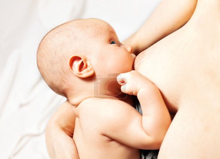 Little baby breast feeding