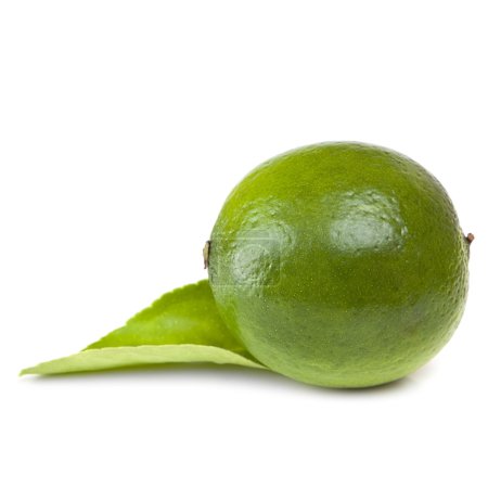 Single Lime with Leaf over White