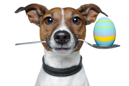 Dog with spoon and easter egg