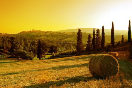 Sunset Tuscany landscape