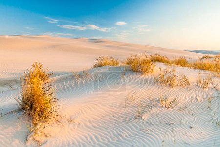 Nice dune in Poland d