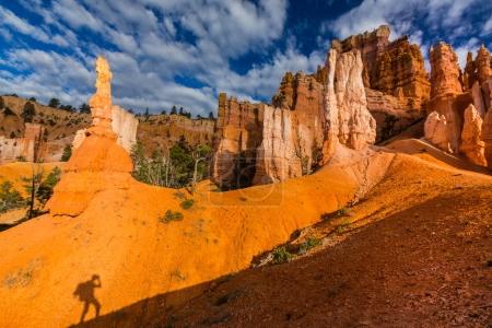 Bright scenery in Bryce Canyon National Park, under warm sunset light