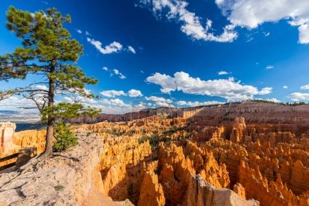Bright scenery in Bryce Canyon National Park, under warm sunset light