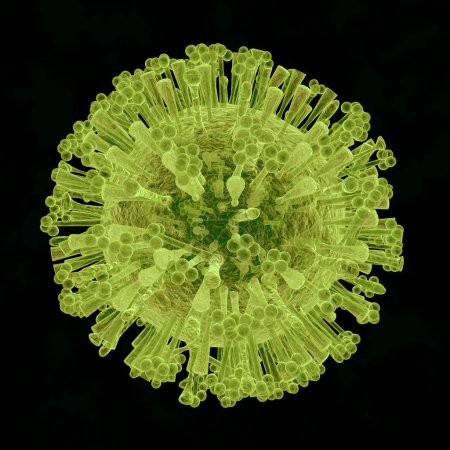 A 3-D illustration of the Coronavirus. Coronaviruses are a large family of viruses ranging from the common cold to much more serious diseases.