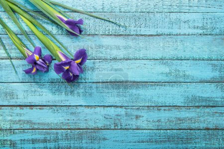 irises flowers on table