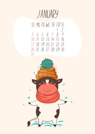 Calendar for January 2021. Cute bull in a hat. Vector image.