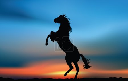 Horse at the sunset