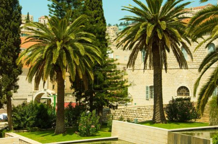 Ancient street in Nazareth, Israel. Date palm trees