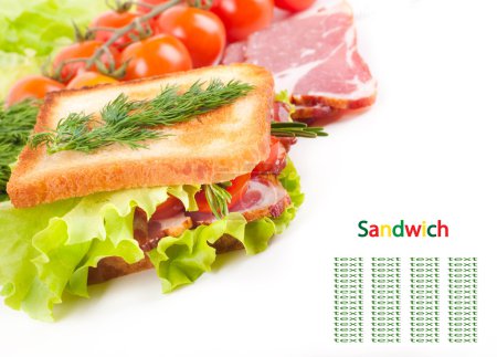 Sandwich from smoked meat and tomatoes, fresh salad