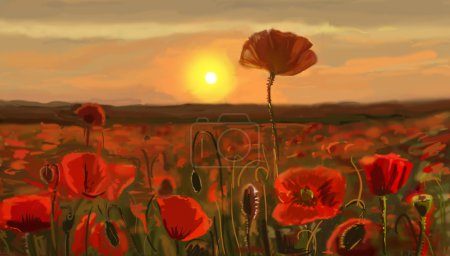 Field of poppies - illustration