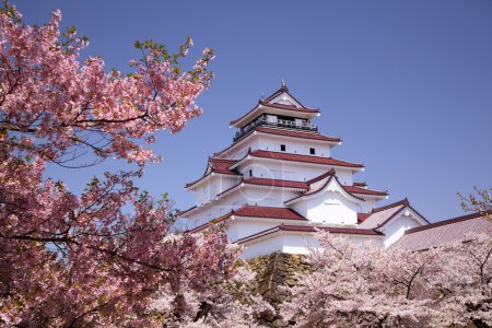 Aizuwakamatsu Castle and cherry blossom