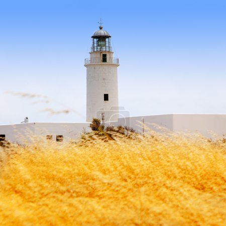 La Mola lighthouse in formentera with golden grass