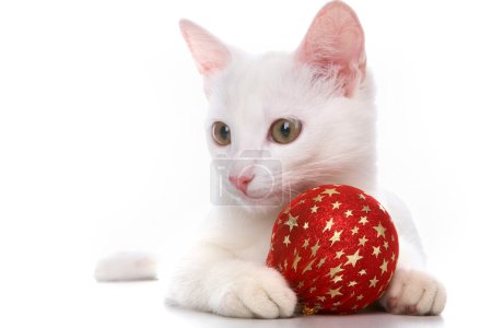 Cat with red ball