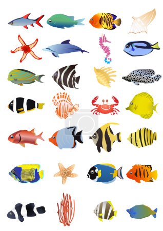 Collection of marine animals