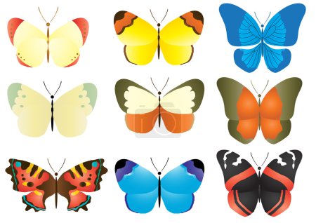 Multicolored butterfly collection