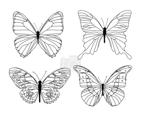 black butterflies