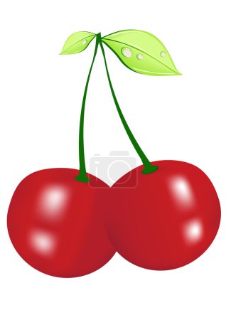 Ripe cherry