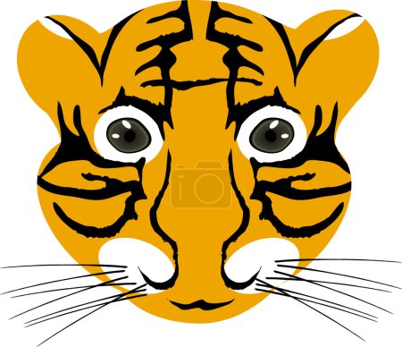 Tiger baby head