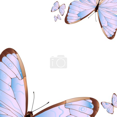 several butterflies