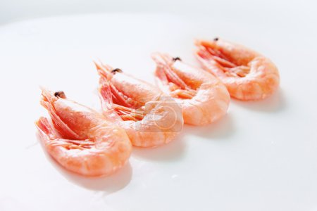 Row of shrimps