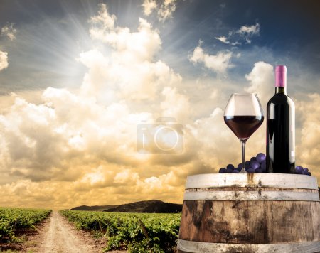 Wine still life against vineyard
