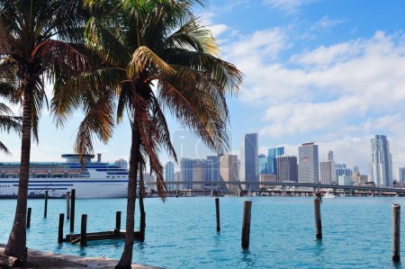Miami city tropical view