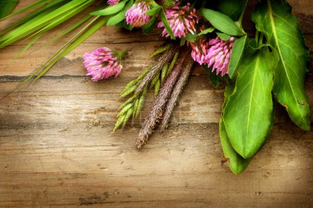 Herbs over Wood. Herbal Medicine. Herbal Background