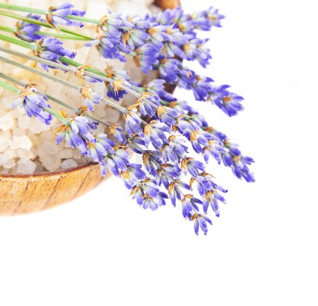 Bowl with salt and lavender flowers isolated on white background