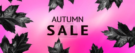 Letters autumn sale and black autumn leaves isolated on a hot pink barbie-themed background.